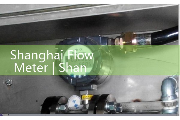 Shanghai flowmeter
